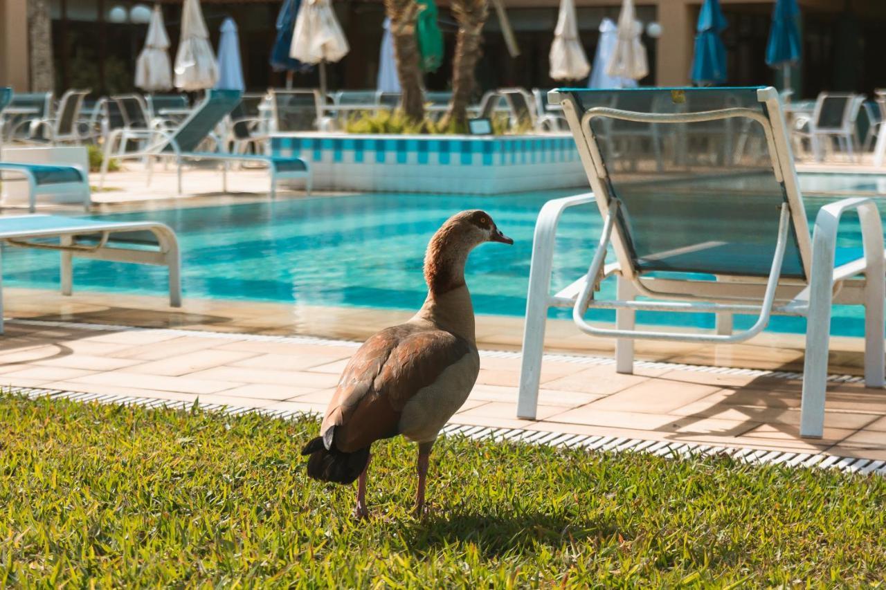 Villa Itaipava Resort&Conventions Esterno foto
